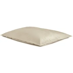 Luksusowa Beżowa Poducha XL Do Leżenia Plusz – Łatwa do przenoszenia